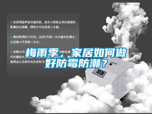梅雨季，家居如何做好防霉防潮？