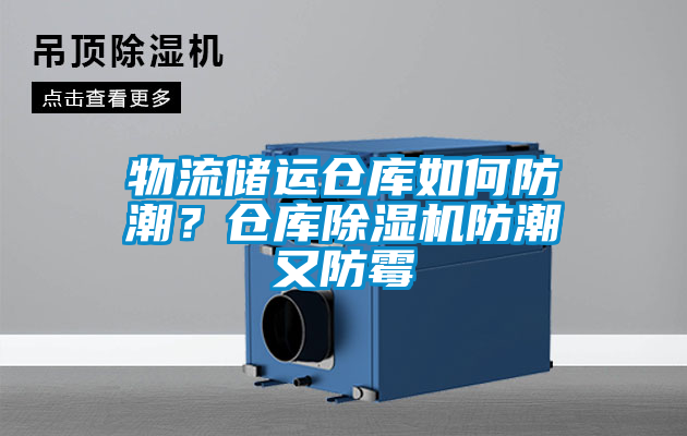 物流儲(chǔ)運(yùn)倉(cāng)庫(kù)如何防潮？倉(cāng)庫(kù)除濕機(jī)防潮又防霉