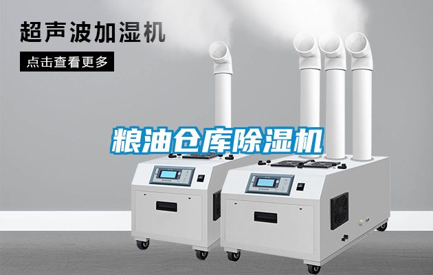糧油倉庫除濕機(jī)