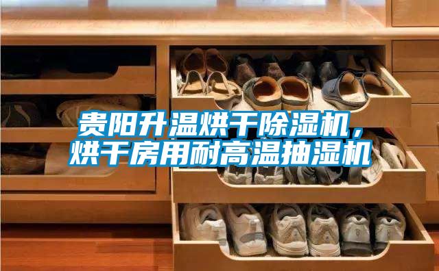 貴陽(yáng)升溫烘干除濕機(jī)，烘干房用耐高溫抽濕機(jī)