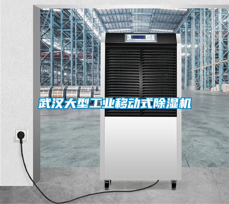 武漢大型工業(yè)移動式除濕機(jī)