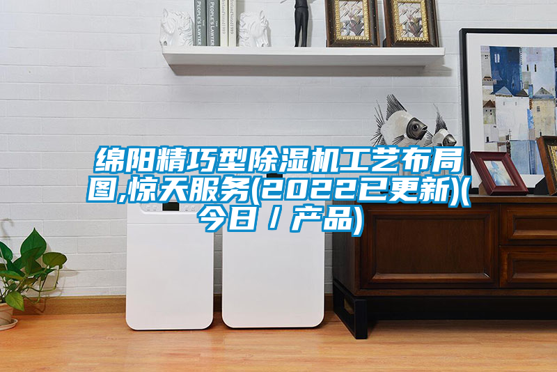 綿陽精巧型除濕機工藝布局圖,驚天服務(wù)(2022已更新)(今日／產(chǎn)品)