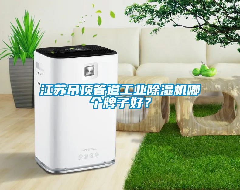 江蘇吊頂管道工業(yè)除濕機哪個牌子好？