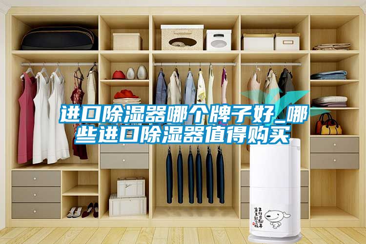 進(jìn)口除濕器哪個(gè)牌子好_哪些進(jìn)口除濕器值得購(gòu)買