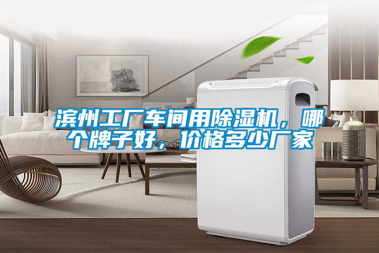 濱州工廠車間用除濕機，哪個牌子好，價格多少廠家