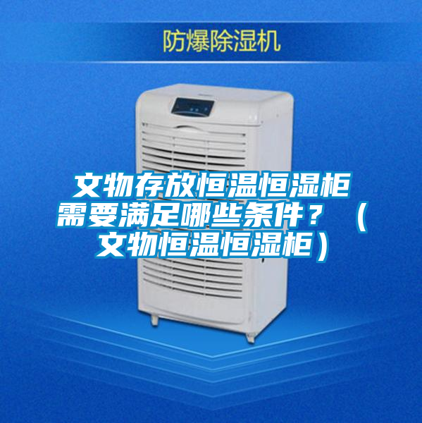 文物存放恒溫恒濕柜需要滿(mǎn)足哪些條件？（文物恒溫恒濕柜）