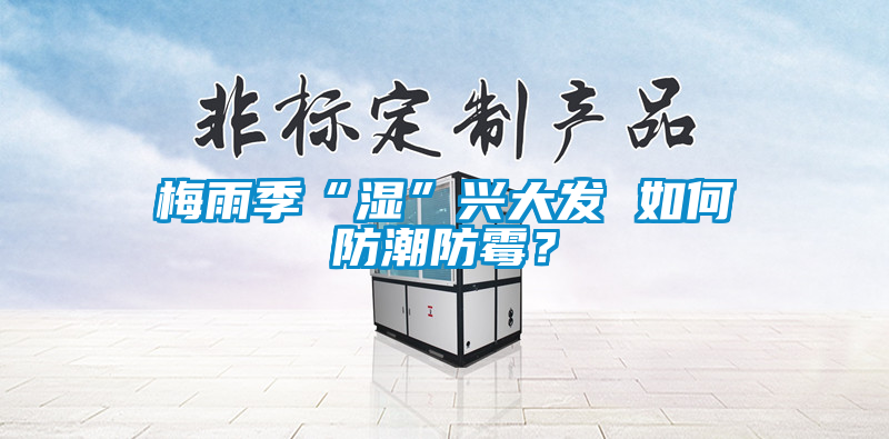 梅雨季“濕”興大發(fā) 如何防潮防霉？