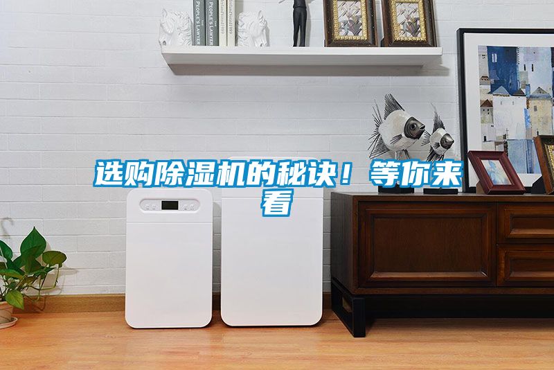 選購除濕機的秘訣！等你來看