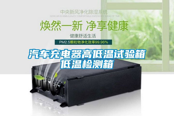 汽車(chē)充電器高低溫試驗(yàn)箱低溫檢測(cè)箱