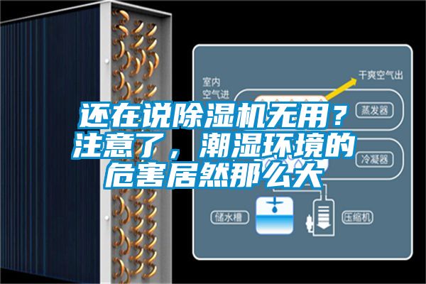 還在說(shuō)除濕機(jī)無(wú)用？注意了，潮濕環(huán)境的危害居然那么大