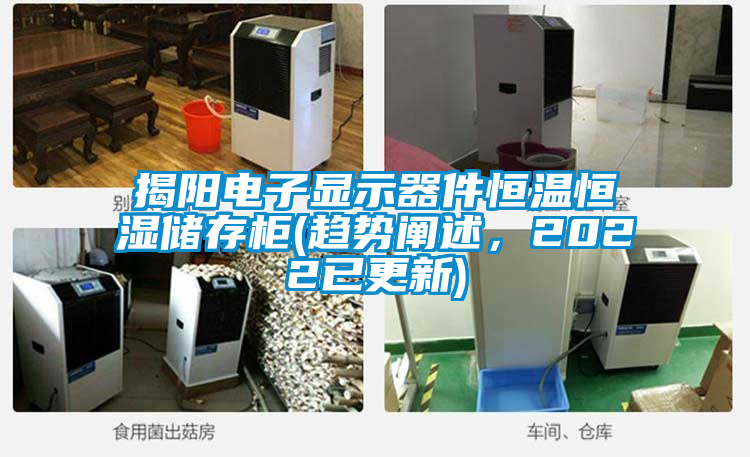 揭陽(yáng)電子顯示器件恒溫恒濕儲(chǔ)存柜(趨勢(shì)闡述，2022已更新)