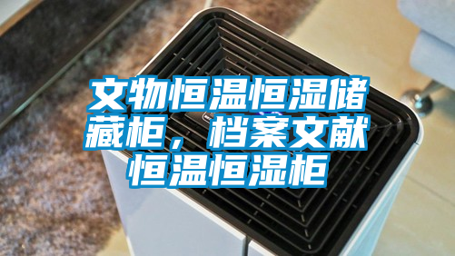 文物恒溫恒濕儲藏柜，檔案文獻恒溫恒濕柜