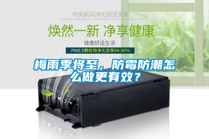 梅雨季將至，防霉防潮怎么做更有效？