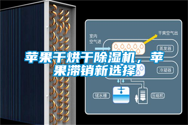 蘋果干烘干除濕機，蘋果滯銷新選擇