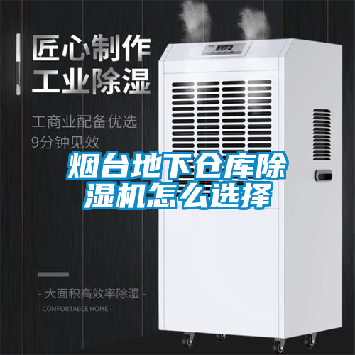 煙臺(tái)地下倉(cāng)庫(kù)除濕機(jī)怎么選擇