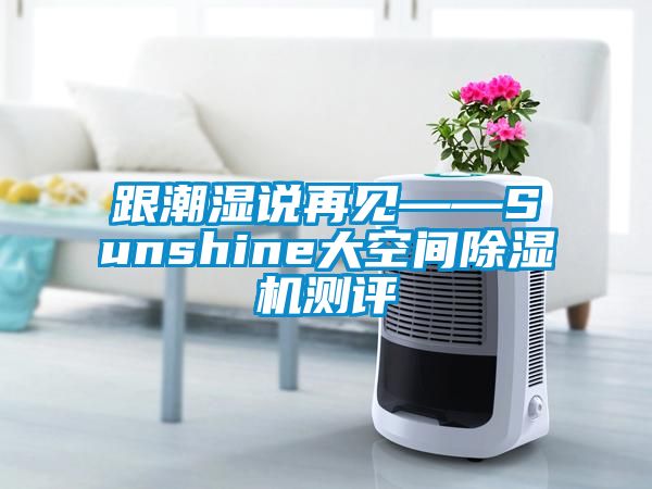 跟潮濕說(shuō)再見(jiàn)——Sunshine大空間除濕機(jī)測(cè)評(píng)