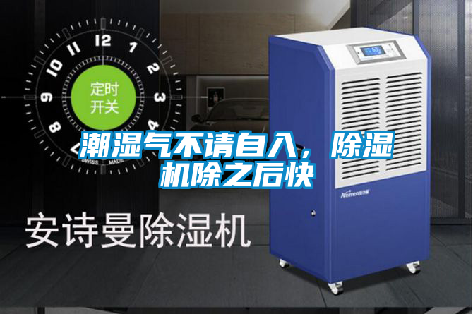 潮濕氣不請自入，除濕機除之后快