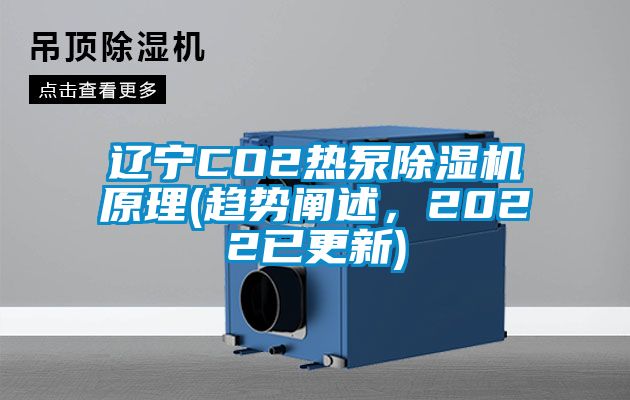 遼寧CO2熱泵除濕機原理(趨勢闡述，2022已更新)