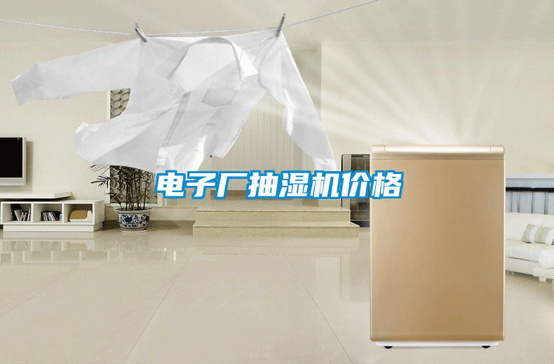 電子廠抽濕機(jī)價格