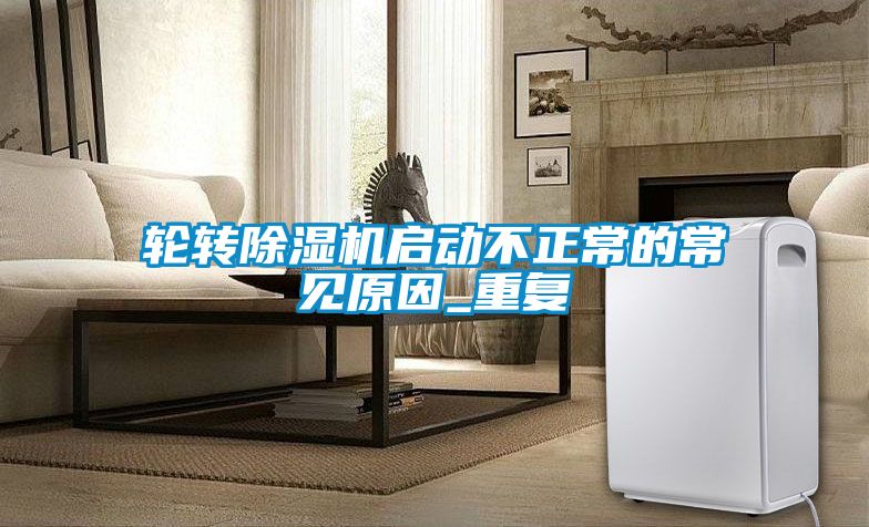 輪轉(zhuǎn)除濕機啟動不正常的常見原因_重復