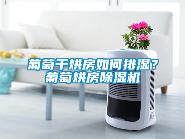 葡萄干烘房如何排濕？葡萄烘房除濕機