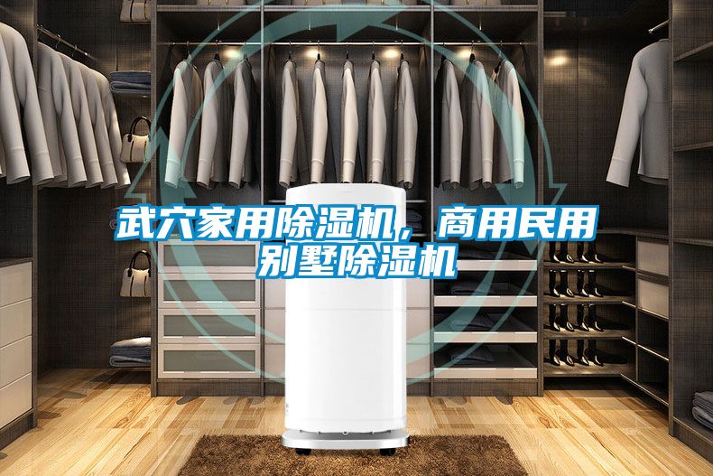 武穴家用除濕機(jī)，商用民用別墅除濕機(jī)
