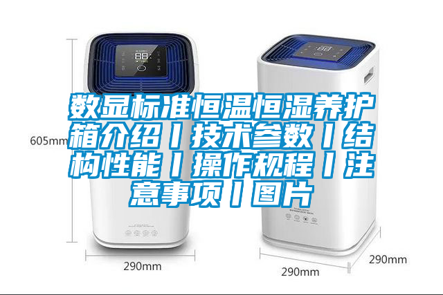 數(shù)顯標準恒溫恒濕養(yǎng)護箱介紹丨技術參數(shù)丨結構性能丨操作規(guī)程丨注意事項丨圖片