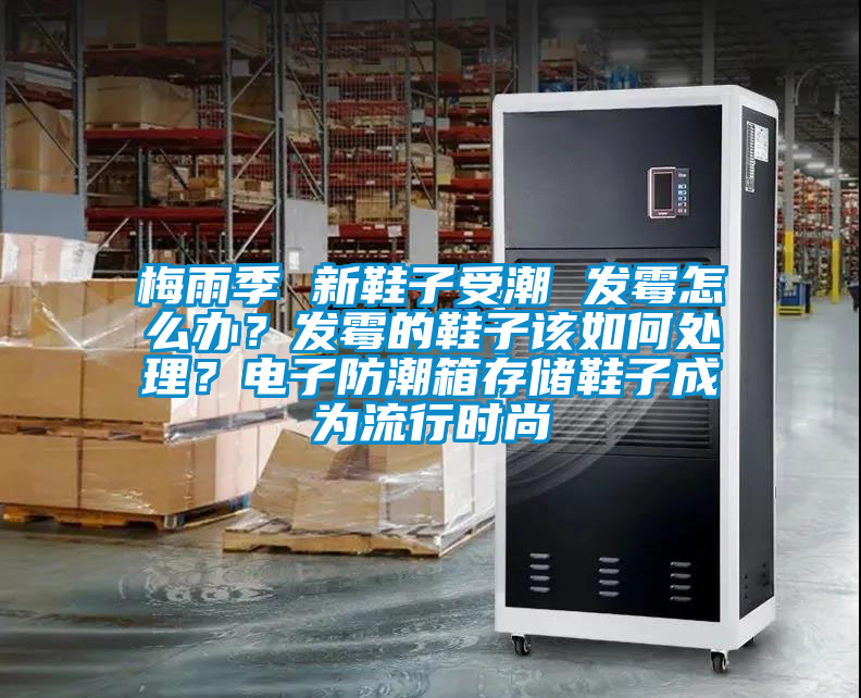 梅雨季 新鞋子受潮 發(fā)霉怎么辦？發(fā)霉的鞋子該如何處理？電子防潮箱存儲(chǔ)鞋子成為流行時(shí)尚