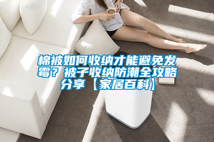 棉被如何收納才能避免發(fā)霉？被子收納防潮全攻略分享【家居百科】