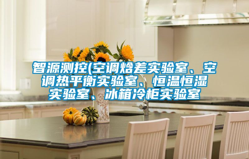 智源測控(空調(diào)焓差實驗室、空調(diào)熱平衡實驗室、恒溫恒濕實驗室、冰箱冷柜實驗室