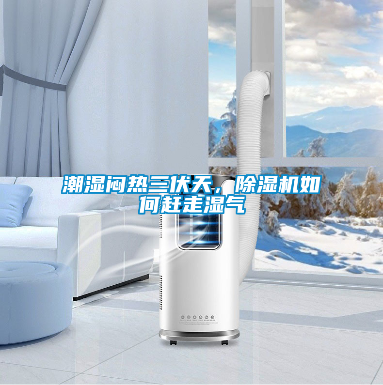 潮濕悶熱三伏天，除濕機如何趕走濕氣