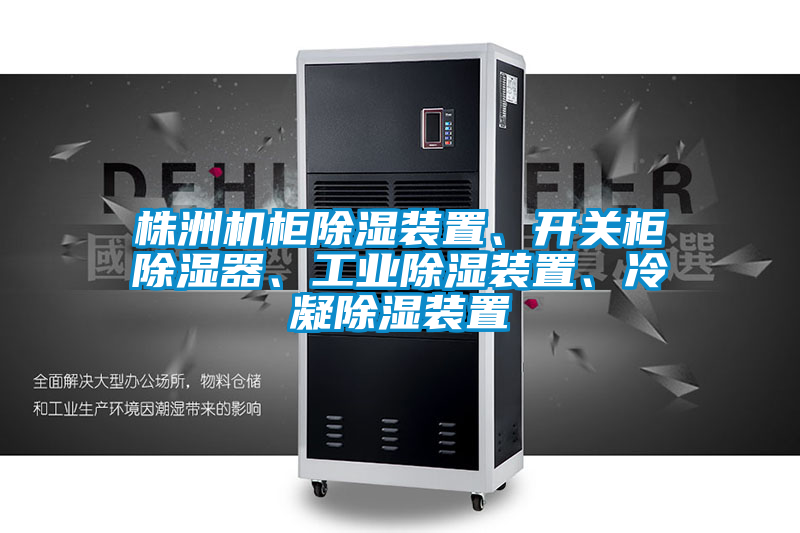 株洲機(jī)柜除濕裝置、開關(guān)柜除濕器、工業(yè)除濕裝置、冷凝除濕裝置