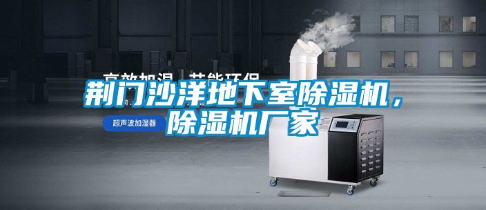 荊門沙洋地下室除濕機(jī)，除濕機(jī)廠家