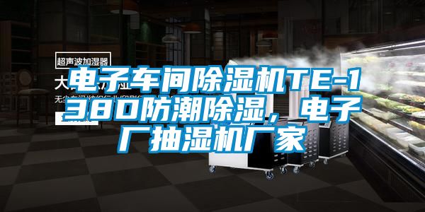 電子車間除濕機(jī)TE-138D防潮除濕，電子廠抽濕機(jī)廠家