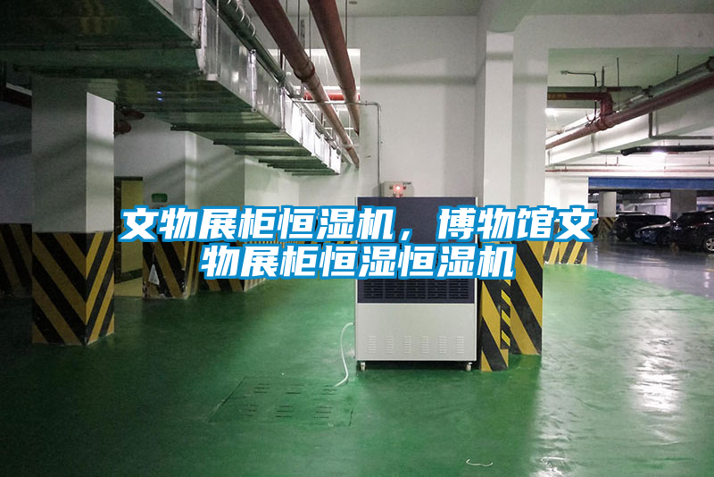 文物展柜恒濕機(jī)，博物館文物展柜恒濕恒濕機(jī)