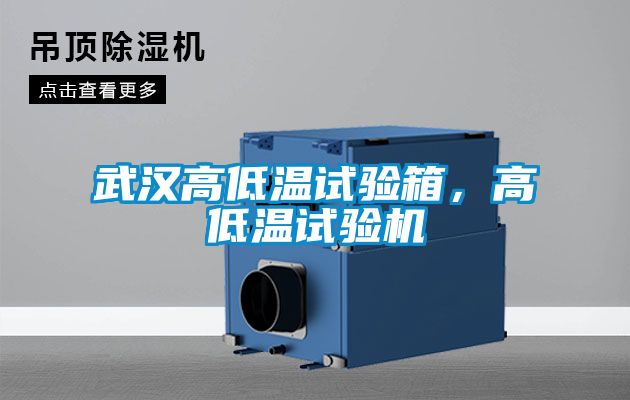 武漢高低溫試驗(yàn)箱，高低溫試驗(yàn)機(jī)
