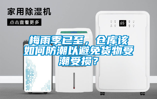 梅雨季已至，倉庫該如何防潮以避免貨物受潮受損？