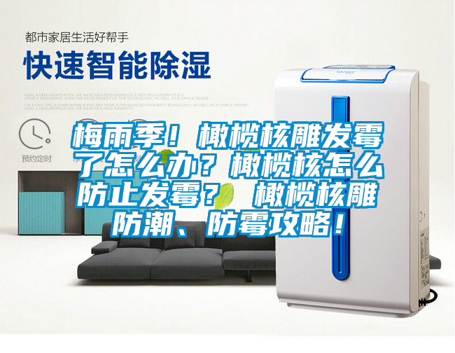 梅雨季！橄欖核雕發(fā)霉了怎么辦？橄欖核怎么防止發(fā)霉？ 橄欖核雕防潮、防霉攻略！