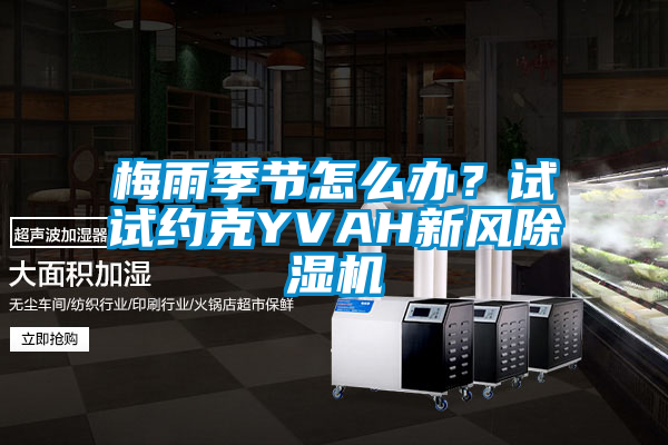 梅雨季節(jié)怎么辦？試試約克YVAH新風(fēng)除濕機(jī)