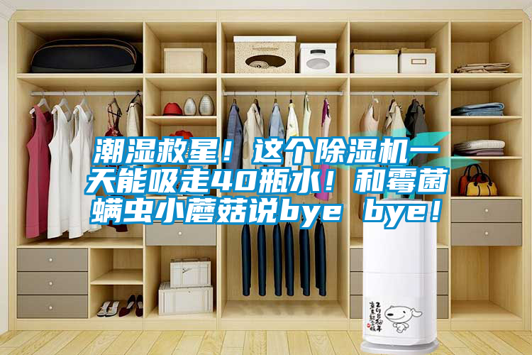 潮濕救星！這個(gè)除濕機(jī)一天能吸走40瓶水！和霉菌螨蟲(chóng)小蘑菇說(shuō)bye bye！