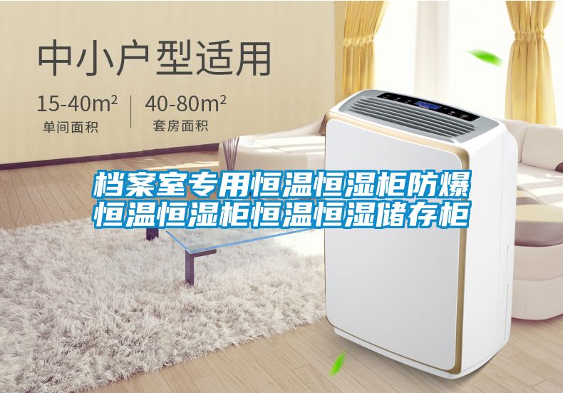 檔案室專(zhuān)用恒溫恒濕柜防爆恒溫恒濕柜恒溫恒濕儲(chǔ)存柜