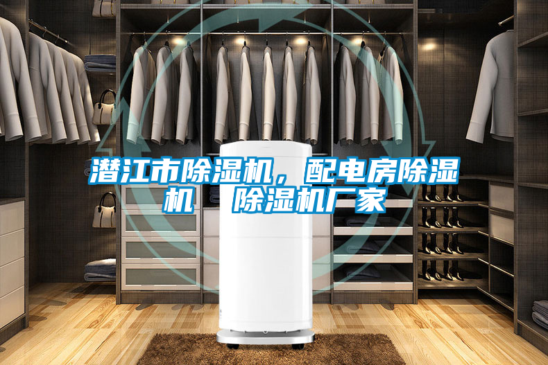 潛江市除濕機(jī)，配電房除濕機(jī)  除濕機(jī)廠家