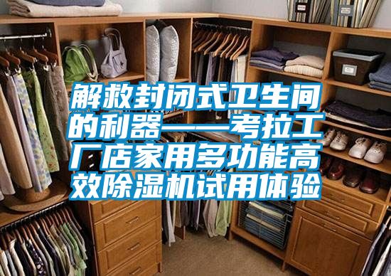 解救封閉式衛(wèi)生間的利器——考拉工廠店家用多功能高效除濕機(jī)試用體驗