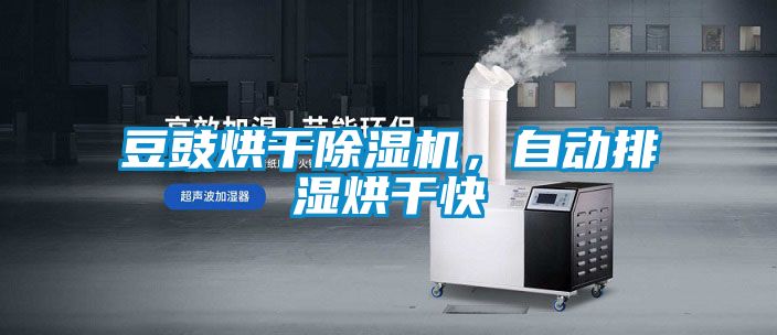 豆豉烘干除濕機，自動排濕烘干快