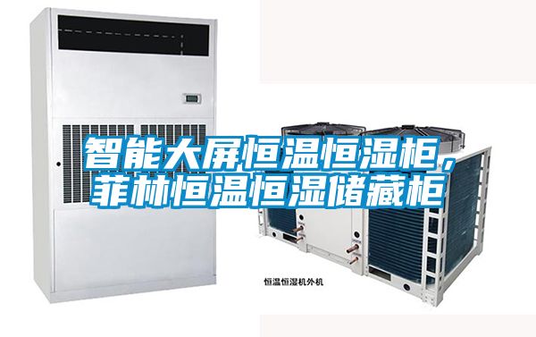 智能大屏恒溫恒濕柜，菲林恒溫恒濕儲藏柜
