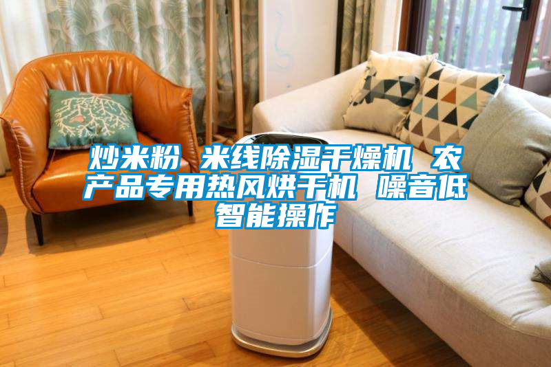 炒米粉 米線除濕干燥機 農(nóng)產(chǎn)品專用熱風(fēng)烘干機 噪音低智能操作