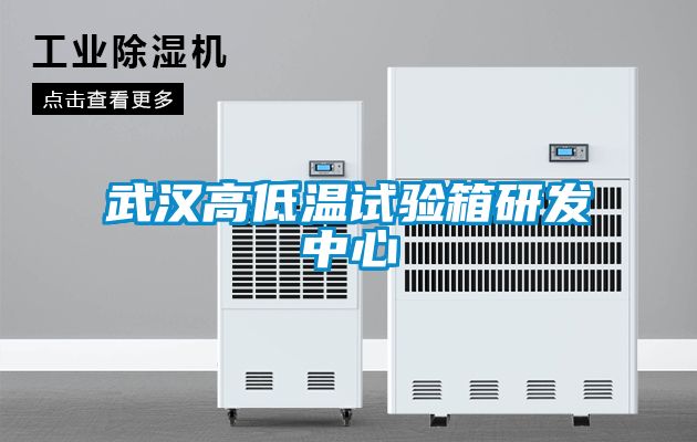 武漢高低溫試驗(yàn)箱研發(fā)中心