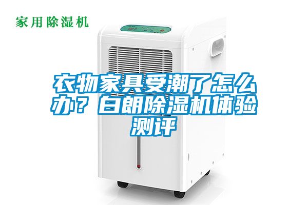 衣物家具受潮了怎么辦？白朗除濕機體驗測評