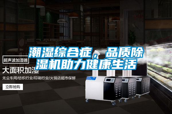 潮濕綜合癥，品質(zhì)除濕機助力健康生活