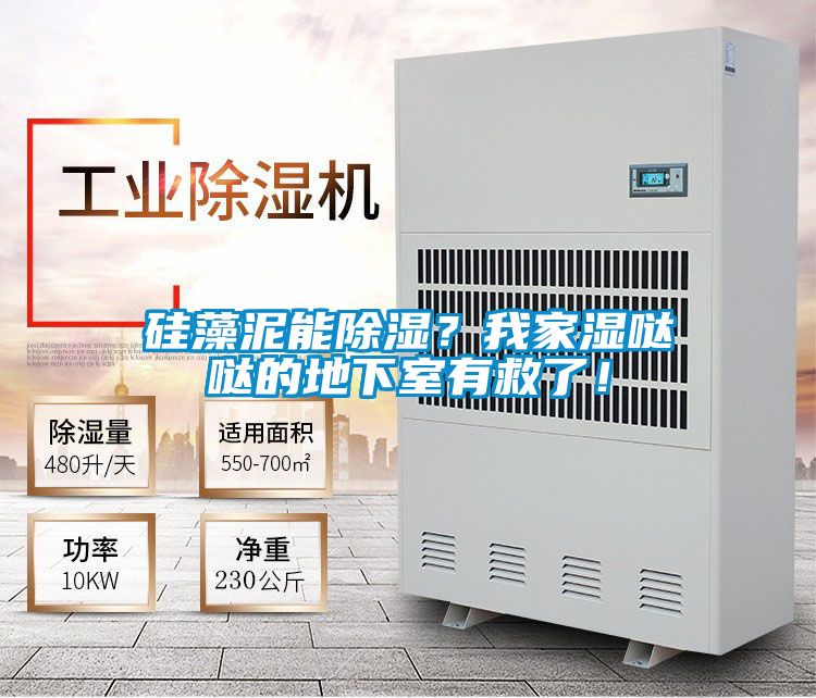 硅藻泥能除濕？我家濕噠噠的地下室有救了！